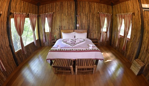 Habitación Deluxe, vistas al jardín