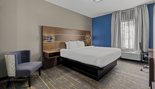 Habitación estándar, 1 cama de matrimonio grande