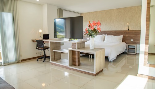 Suite estudio Deluxe