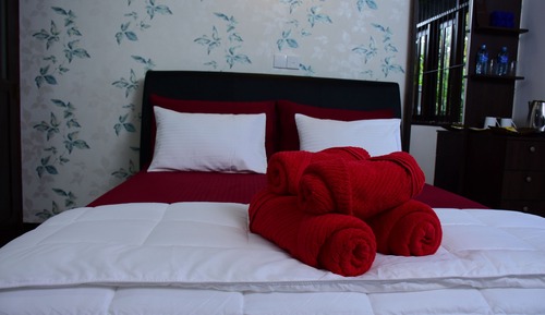 Habitación Deluxe doble, 1 cama de matrimonio, baño privado, vistas a la montaña