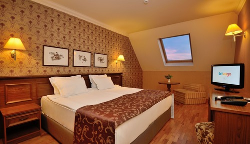 Habitación básica doble, 1 cama de matrimonio grande