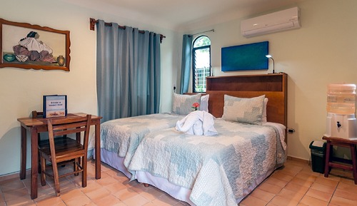Estudio estándar, cocina básica, en la zona del patio