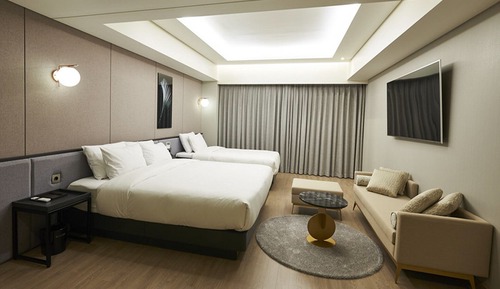 Habitación Deluxe con 2 camas individuales