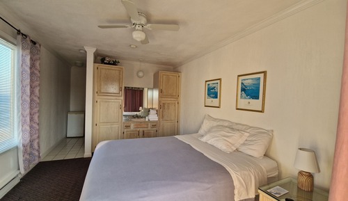 Habitación individual, 1 cama de matrimonio, vistas parciales al mar