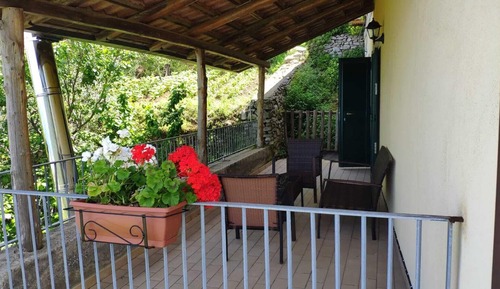 Habitación panorámica doble