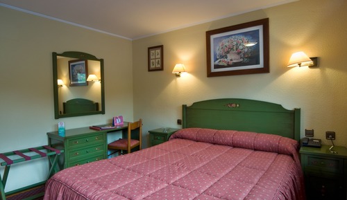Habitación doble de uso individual, vistas al jardín