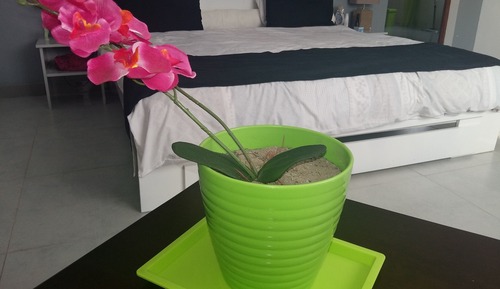 Bungalow, 2 habitaciones, no fumadores