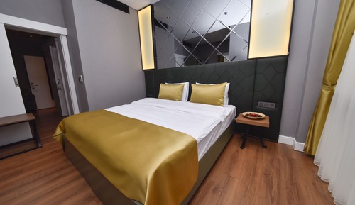 Habitación Business con 1 cama doble o 2 individuales