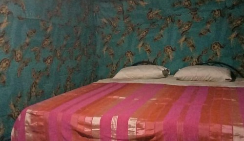 Tent, 1 Twin Bed
