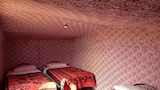 Tent, Multiple Beds (Quadruple)