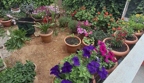 Casa familiar, en la zona del patio (4)