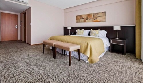 Habitación ejecutiva doble, 1 cama de matrimonio