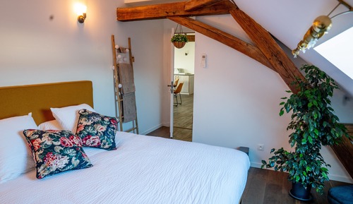 Habitación Confort doble (Chaleureuse)