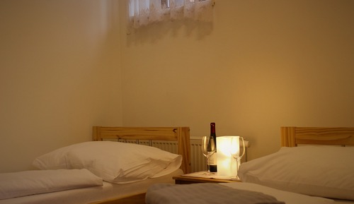 Habitación clásica con 2 camas individuales, frigorífico