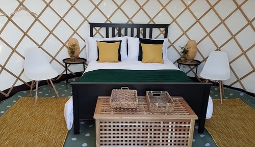 Tienda Signature (Yurt Falcon)
