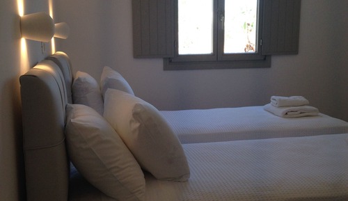 Standard Twin Room with window