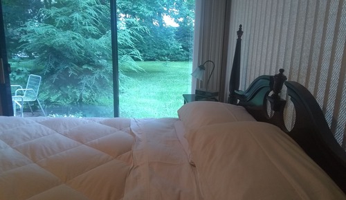 1 Bedroom 1 Bath
