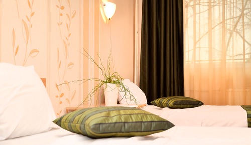 Habitación estándar con 2 camas individuales