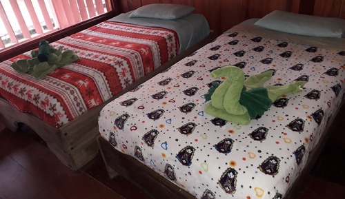 Dormitorio compartido económico
