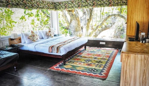 Casa en un árbol