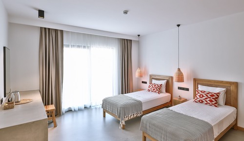 Habitación clásica con 2 camas individuales