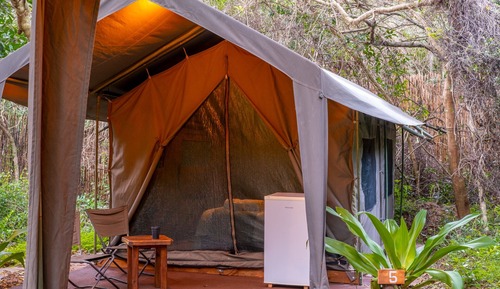 Deluxe Tent, 3 Bedrooms