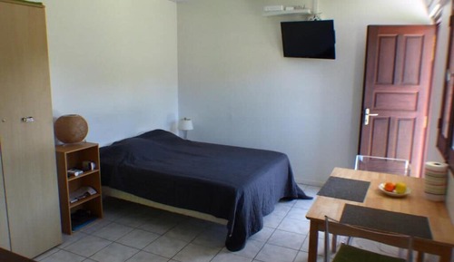 Estudio clásico, 1 cama doble, vistas al jardín