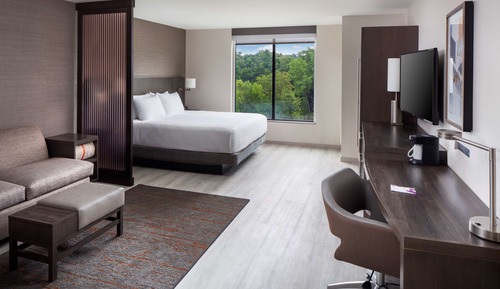 Habitación, 1 cama de matrimonio grande con sofá cama