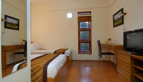 Habitación Deluxe con 2 camas individuales