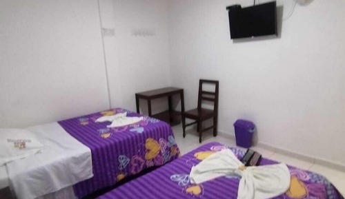 Habitación estándar, baño privado (2 beds)