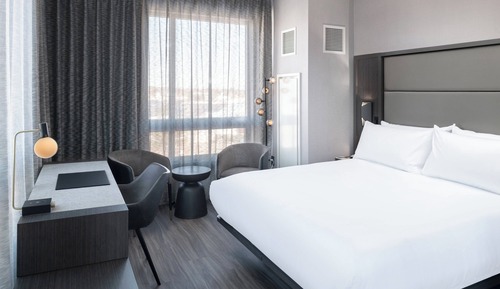 Suite, 1 cama de matrimonio grande con sofá cama