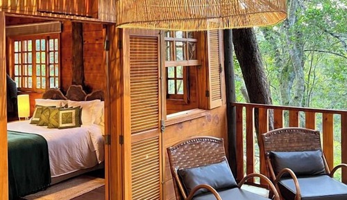 Casa en un árbol