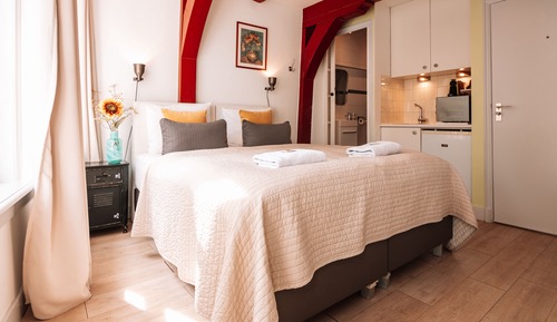 Habitación de diseño doble, vistas a la ciudad