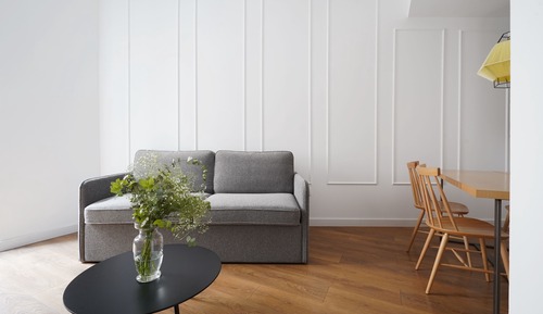Large 1 Bedroom Apartment with Sofa Bed