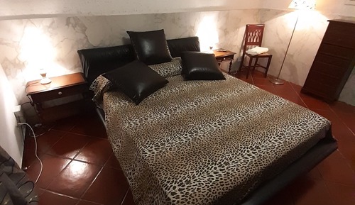 Habitación doble, 1 cama de matrimonio (Aurora)