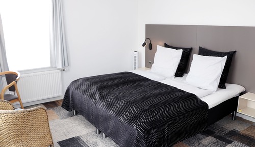 Habitación estándar, 1 cama doble