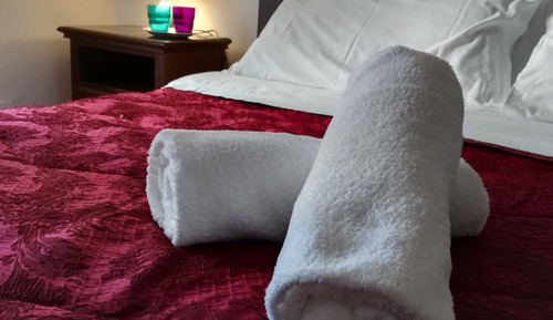 Basic Double or Twin Room