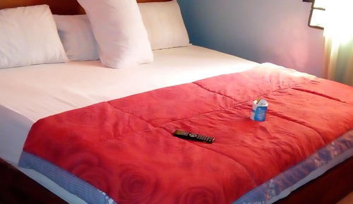 Habitación presidencial, 1 cama de matrimonio grande