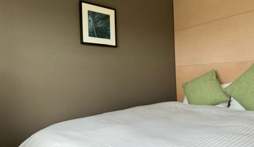 Habitación individual estándar, fumadores (Eco plan No Housekeeping)