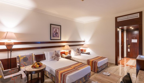 Habitación estándar, vistas al jardín