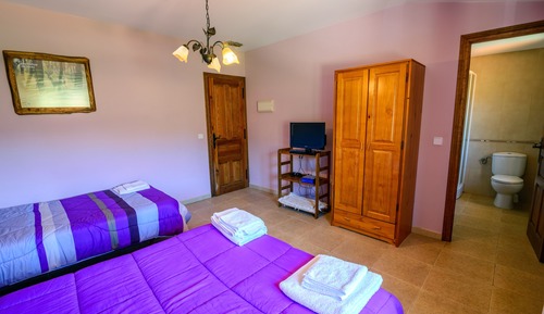 Habitación Confort con 1 cama doble o 2 individuales