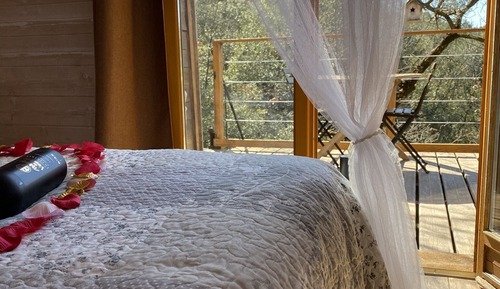 Cabaña panorámica, 1 cama doble, no fumadores, vistas a la colina