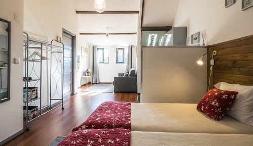Loft de lujo, 1 habitación, balcón