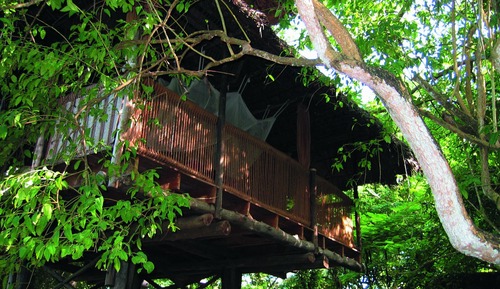 Casa en un árbol familiar (Tano)