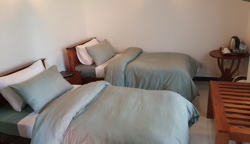 Habitación Deluxe con 2 camas individuales