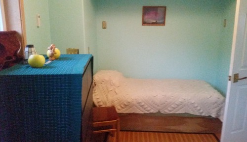 Habitación individual Deluxe, 1 cama individual, no fumadores