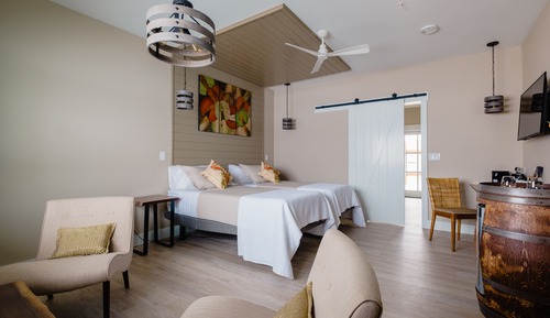 Habitación de lujo con 1 cama doble o 2 individuales, no fumadores