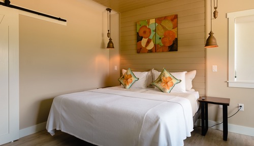 Habitación doble de uso individual, 1 cama de matrimonio grande, no fumadores