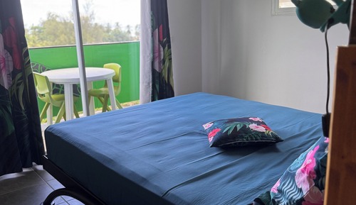 Apartamento clásico, 1 cama de matrimonio con sofá cama, no fumadores, cocina básica