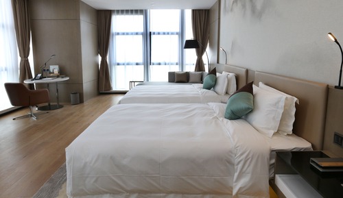 Habitación ejecutiva, 2 camas individuales